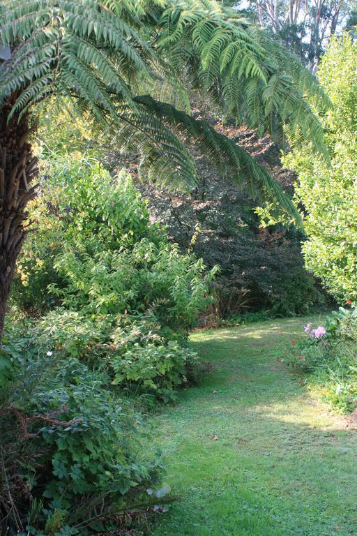 Mirboo North Strathmore Farm B&B מראה חיצוני תמונה