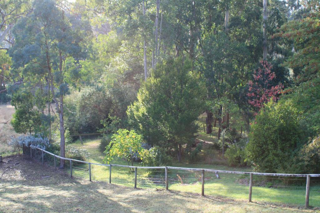 Mirboo North Strathmore Farm B&B מראה חיצוני תמונה