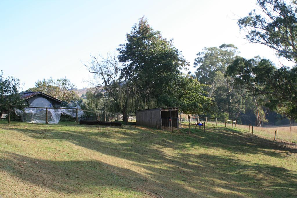 Mirboo North Strathmore Farm B&B מראה חיצוני תמונה