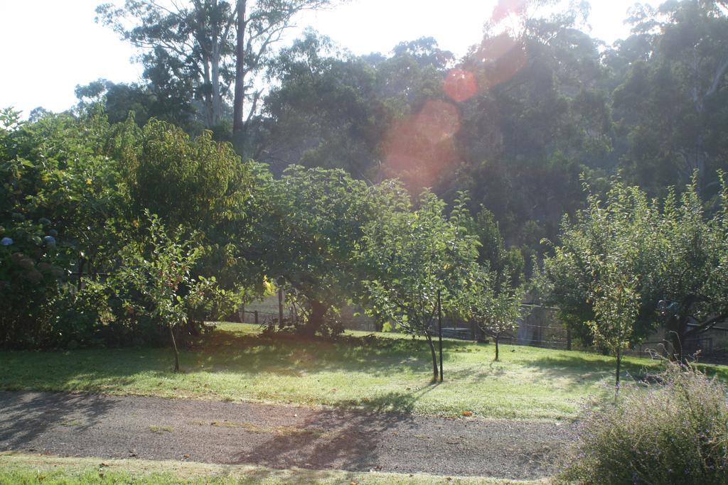 Mirboo North Strathmore Farm B&B מראה חיצוני תמונה