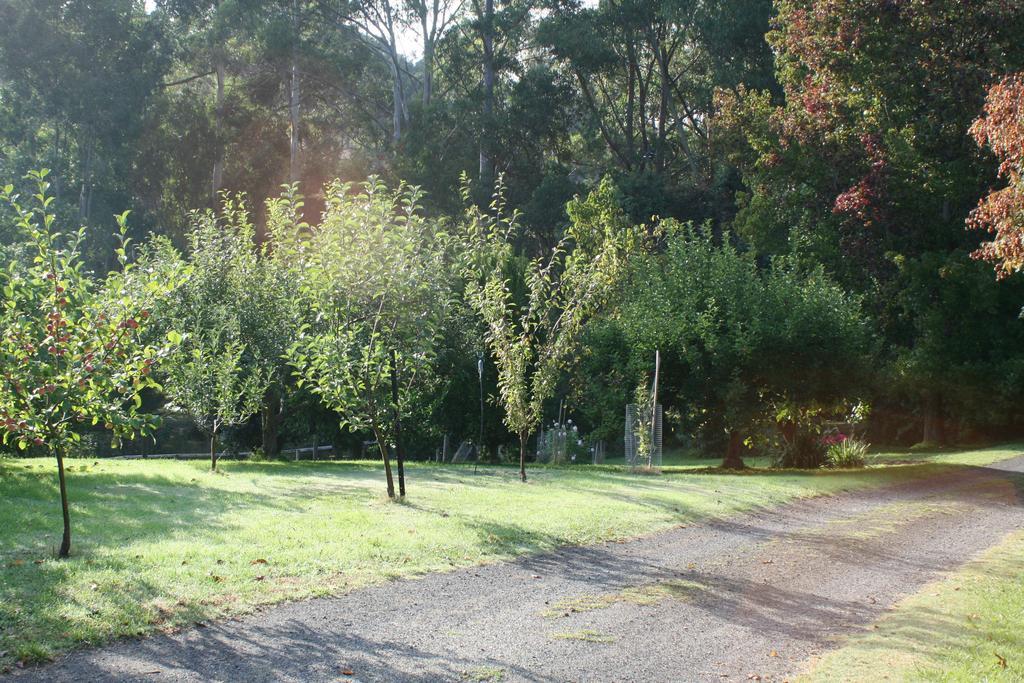 Mirboo North Strathmore Farm B&B מראה חיצוני תמונה