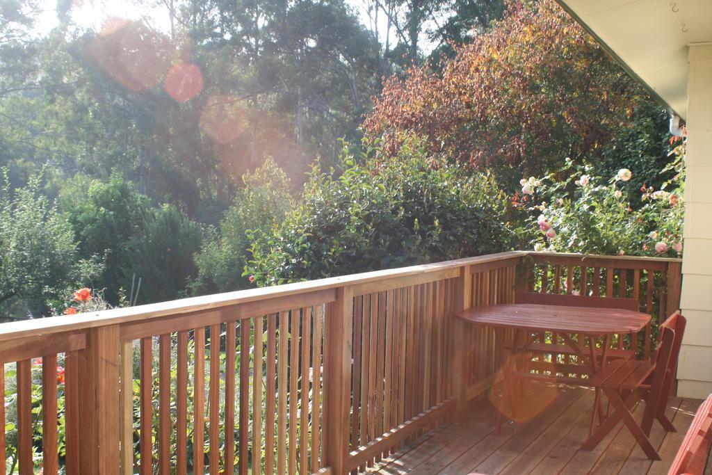 Mirboo North Strathmore Farm B&B מראה חיצוני תמונה