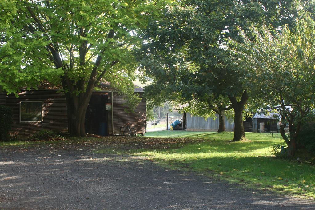 Mirboo North Strathmore Farm B&B מראה חיצוני תמונה